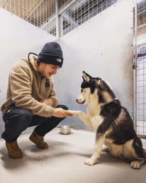 Marco Ilsø Instagram - Meet n’ greet at @dyrevaernet

@bynagels arranged this campaign, and I just knew I had to be in.
After two lockdowns the number of young dogs handed over to this shelter more than doubled.
Without exception, they find new families that qualifies for the adoption of the dogs.
I had a great day here, and left the place happy, hopeful and appreciative.

A dog might only be with you for a relatively short time of your life – but you’re in the life of that dog the majority of theirs!