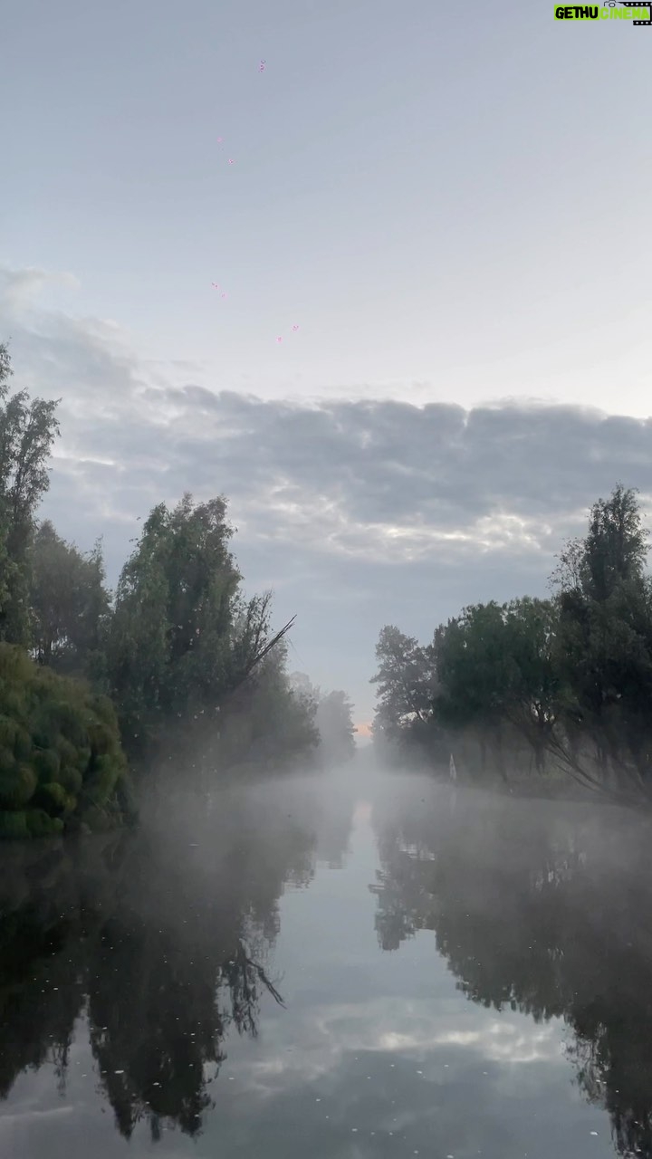 Marco Tostado - 289 Likes - 6 AM , Lago de Xochimilco , México
.
.
.
#xochimilco #mexico #cdmx
