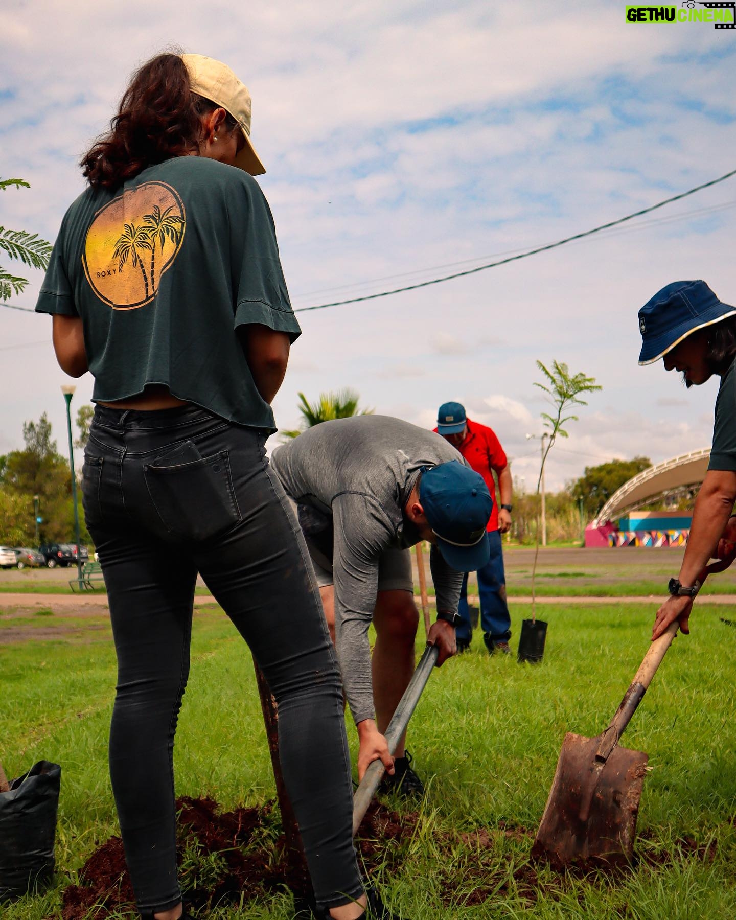 Marco Tostado - 3 Likes - El domingo se llevó a cabo la jornada de reforestación en Tepatitlán previo al temporal de lluvias , la comunidad de Tepatitlán puso su granito de Arena .
GRACIAS a todas y a todos !
Logramos plantar más de 170 árboles .
Gracias a todos nuestros patrocinadores .
@quiksilvermexico
@roxy_mx
@ecoviverotepa
@gobierno_de_tepatitlan
@donkrestaurant
@evobac.mx
@mangiatoia_restaurant
Fotografías tomadas por @juanpablotostado_9918
#replantemoselfuturo