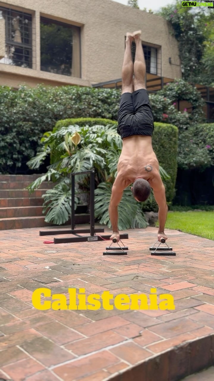 Marco Tostado - 561 Likes - La pregunta del millón
Entrenando en casa con la barra One bar de @spmfit_ y un par de paralelas .
#calisthenics #calistenia