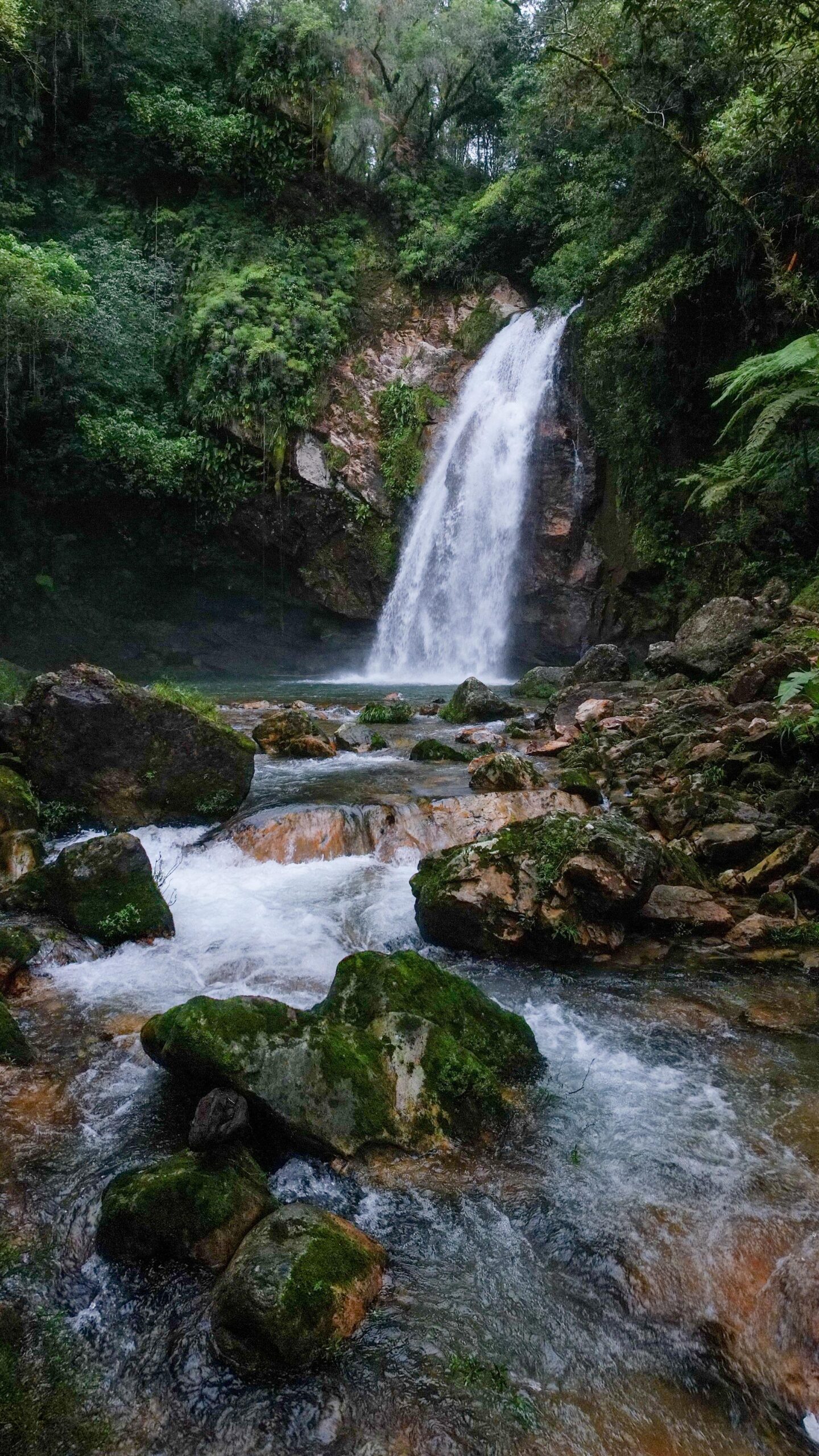 Marco Tostado - 369 Likes - Recap de un viaje a Puebla / Veracruz con estos cracks: @marcotostado_ y @estebanper_ …
- Marcos, Esteban y yo viajamos hasta Cuetzalan y Tlapacoyan para vivir esta aventura.
Descenso de cascadas en rapel, cañonismo, rafting y otras actividades complementaron nuestro roadtrip.
Estuvo de huevos 🕶️🕶️🕶️
-
- Todas las actividades en Cuetzalan las hicimos con @descubrecuetzalan y todas las actividades en Tlapacoyan las realizamos con @aventurec .
Gracias infinitas!!
-
-
-
-
#mexico #jeep #jeepwrangler #4x4