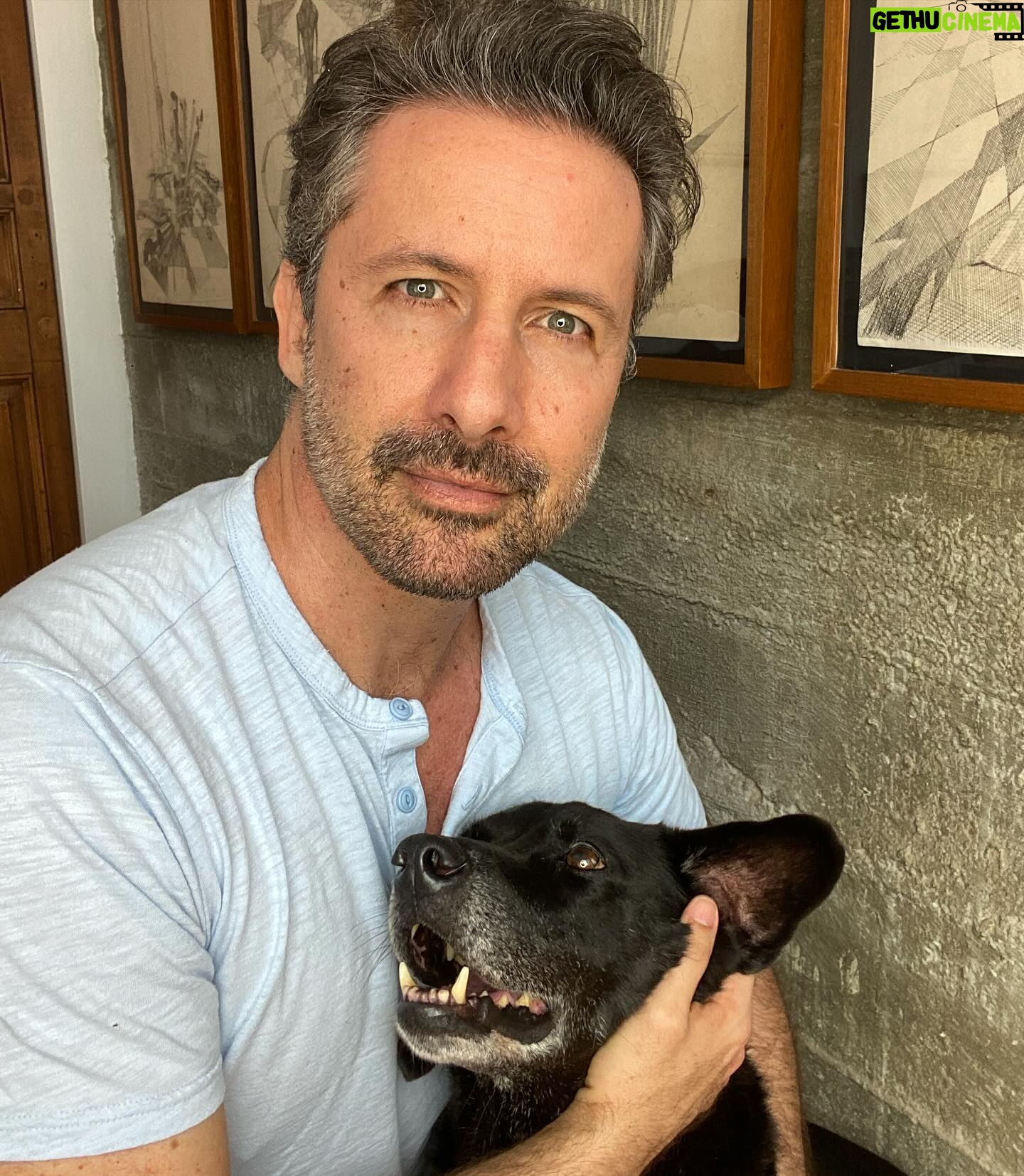 Marco Zunino - 2.2K Likes - Ya tocaba con Tyson !!!!!!! Buen finde !!!! #doglover #hijoperruno🐶
