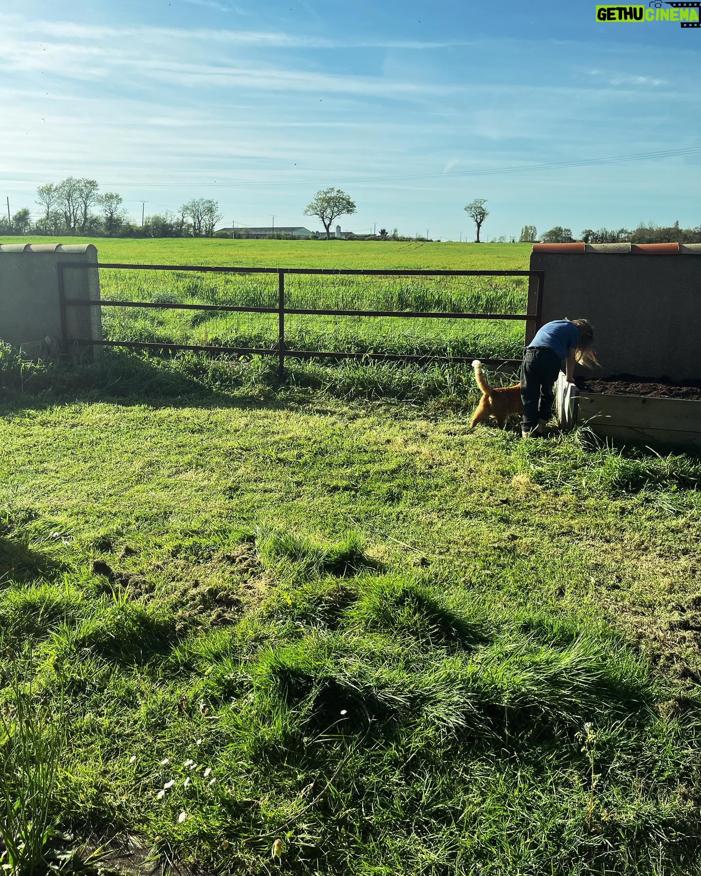 Margot Bancilhon - 3 Likes - La nature s’eveille 🥰