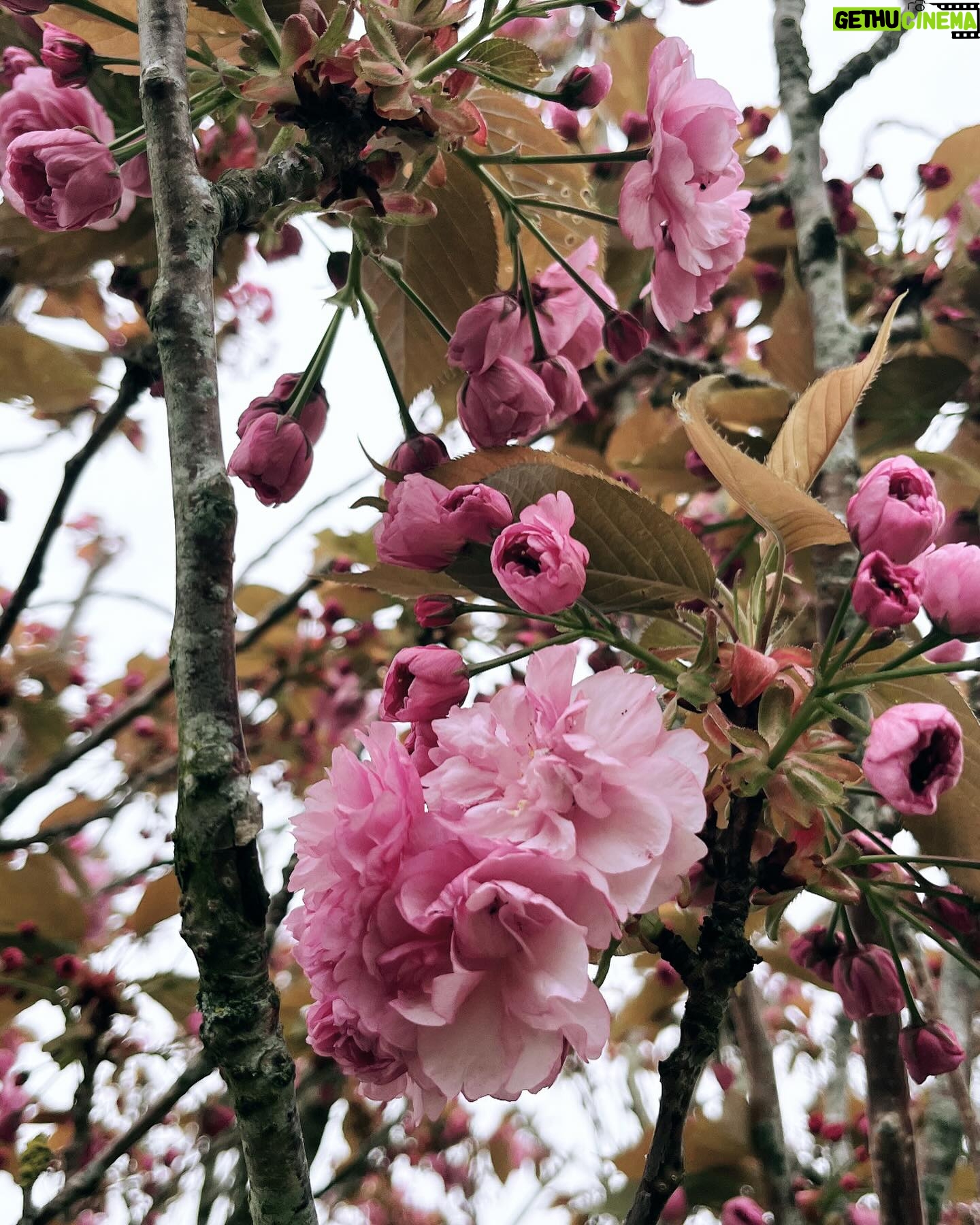 Margot Bancilhon - 3 Likes - La nature s’eveille 🥰