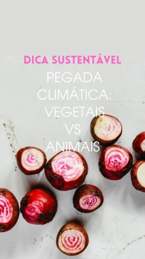 Maria Dias Instagram - Dica sustentável e saudável ✨ Estamos todos a sentir e ver os efeitos das alterações climáticas um pouco por todo o mundo. Estas alterações são causadas sobretudo pela maneira nada equilibrada como comemos: demasiados produtos de origem animal e poucas plantas. 3/4 da terra arável do planeta servem hoje para a indústria animal, para nos dar apenas 18% das calorias que precisamos. Estamos a destruir o planeta para algo que nem nos alimenta… Não é verdade que este planeta não chega para alimentar uma população crescente, ele chega e sobeja, se alterarmos as nossas escolhas alimentares. A dica sustentável de hoje é: troque os produtos de origem animal por produtos de origem vegetal. Directamente da Natureza. Da estação e de produção local. O planeta precisa. A sua saúde agradece. E ainda por cima é delicioso.