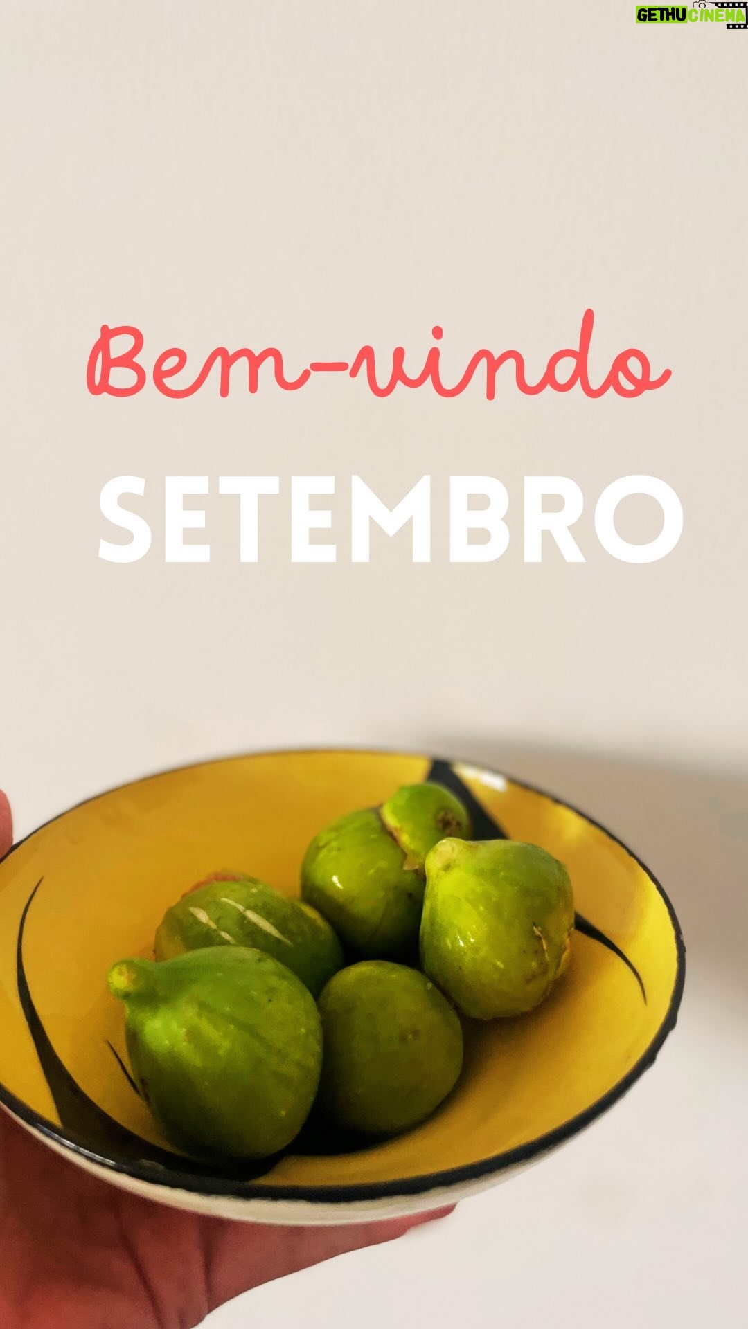 Maria Dias - 195 Likes - Bem-vindo, Setembro! É um belo mês para recomeços, agora que temos a pele douradinha e os cabelos ainda com memória do sal. No menu este mês temos: os legumes da estação no prato, receitas, dicas de chef, porquês sobre sustentabilidade na alimentação e mais algumas novidades. Tenho um pequeno intruso no vídeo. Não é difícil de o descobrir 😁 Vai ser um bom mês! Comece já a encher o prato com muitos legumes 💚