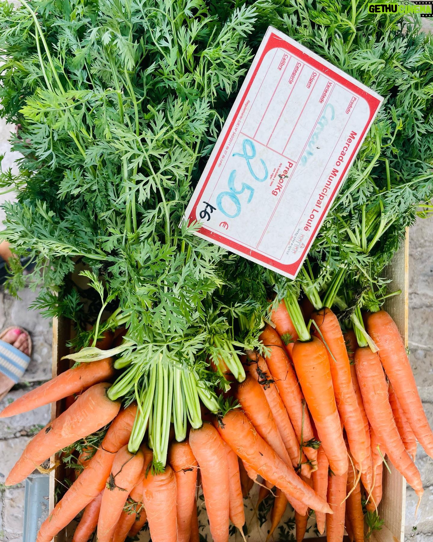 Maria Dias - 95 Likes - Mercado de produtores de Loulé. Acontece aos sábados de manhã à volta do mercado da cidade e é uma delícia. Fui na quimera de encontrar figos mas já só os encontrei secos. Pingo de mel secos da região são uma iguaria. Feliz por encontrar brócolos com folhas e floretes que não estão em estereoides como os que encontramos nos supermercados. Vários piri-piris para quem gosta de abusar do 🔥 . Marmelos, feijão verde, feijão fresco, os últimos tomates coração-de-boi ainda carregados de sabor e ainda encontrei mini pepinos para conservar em salmoura (depois passo-vos a receita). Em todo o lado perguntam se não quer coentros, fica um aroma a coentros por todo o lado, a erva que lembra sempre o Algarve. Leve sacos reutilizáveis e um grande para as compras todas- e compre a mais para poder fazer conservas para o ano e lembrar a abundância do Verão nos dias mais frios✨