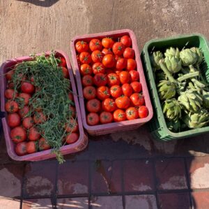 Maria Dias Instagram - Mercados. Nunca falha nas viagens. Nestes há grão de bico e favas cozidos e vendidos a granel (quero isso no meu bairro também!); legumes e frutas da estação, e um intenso aroma a hortelã e ervas aromáticas; arroz, cuscus, sêmola de milho, centeio e outros grãos a granel; leguminosas e ervas secas; tâmaras, um oceano de tâmaras, mas também muitos outros frutos secos e oleaginosas; com jeitinho ainda pode cortar o cabelo num barbeiro improvisado, e se tiver um ratito é só escolher umas das tajines feitas sobre lenha. Os mercados são uma experiência imperdível tirando a parte dos animais, que irei falar no próximo post. Para já queria só encher a mochila de tâmaras para levar.