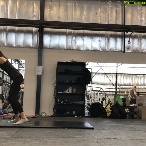 Maria-Elena Laas - 697 Likes - The fighters and stunt performers on Warrior went to great lengths to carry out fight sequences worthy of the Bruce Lee legacy and deserve all the accolades they get. Ahem @criticschoice
.
Special thanks to our incredible fight coordinator/guru @bchanworld for guiding and bringing out the best in all of us, taekwondo master @jjparkstunts, beast @the_almost_legendary_xin for the awful never ending ab circles and letting my superhuman kicks throw you 10 feet, @misterhoonlee for suggesting I punch you in the face, and the international world class martial artists for working us hard for months, making us look good, taking hits/kicks/punches/falls/flips with grace, big hearts, and speed but especially for not laughing at mine or @celinebuckens clumsiness (both conveniently not pictured)
Check out @chenlovesyall in the back working his chain weapon, slide 4
.
@hitzinternational @nomadstunts @lee_jiseok @jasonngstunts @jennyayumi24 @erden_telemisov @barraozinho @mikebisping