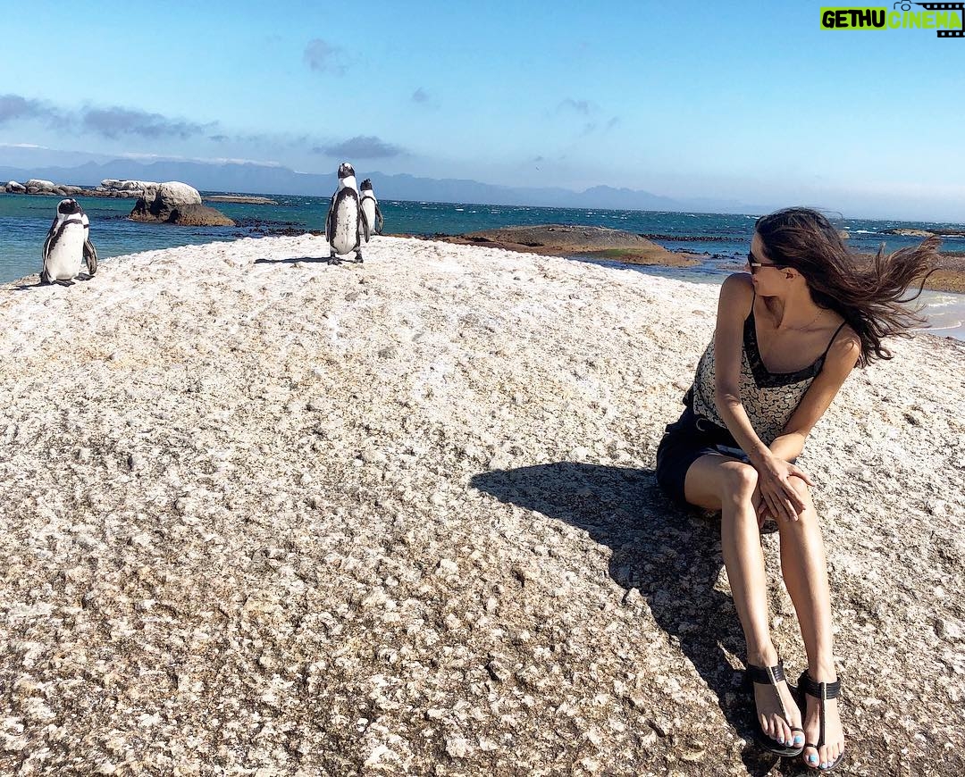 Maria-Elena Laas - 556 Likes - Checking each other out 🐧