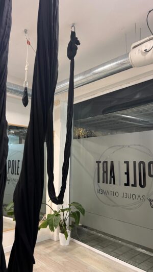 María Mera Instagram - Nunca pensei que unha tela me faría tan feliz 😀 que marabilla compartir tempo en @poleartbyraquel 
.
.
#hammock