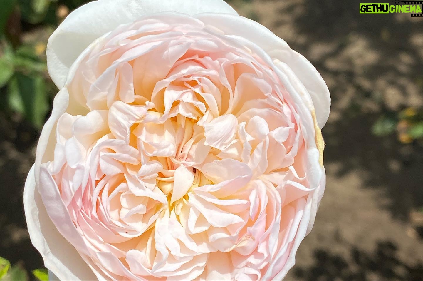Marián Aguilera - 3 Likes - Spring … 🌺 by @thy80