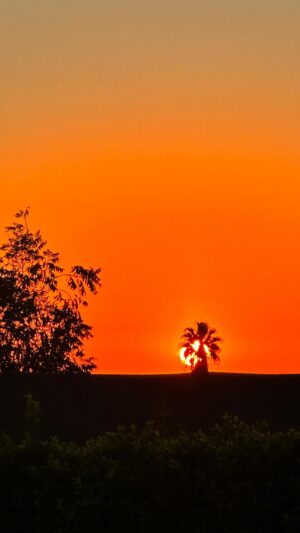 Marián Aguilera Instagram - Sunset through my eyes ..
“El verano no acaba tampoco esta mañana. 
No hay una sola ráfaga de aire que tenga el deseo de cambiarnos la vida.” 
✍️ @soniafides