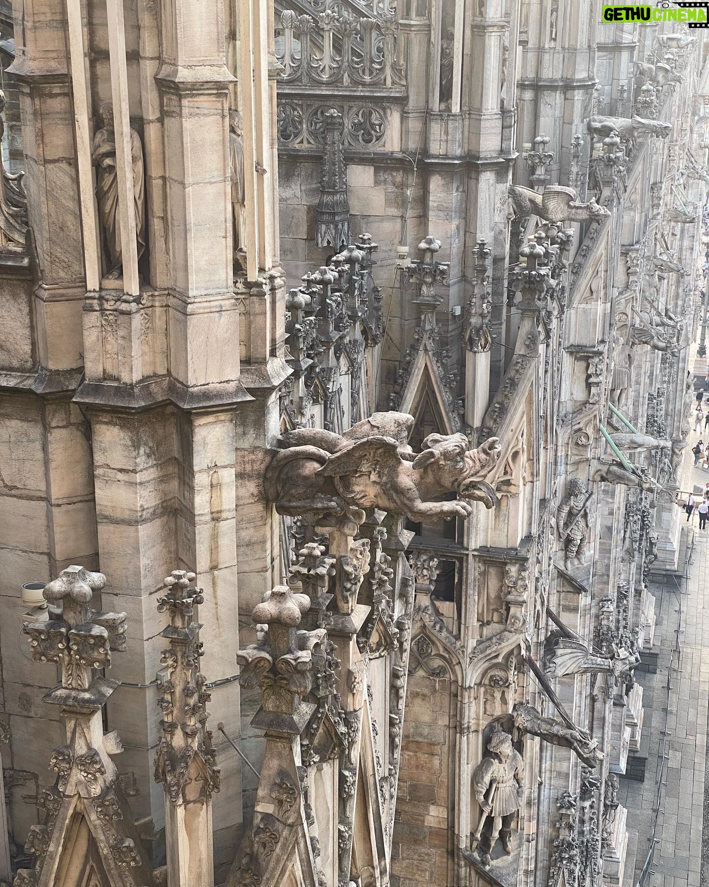 Marianne Rendón - 700 Likes - Travelogue 🦅
