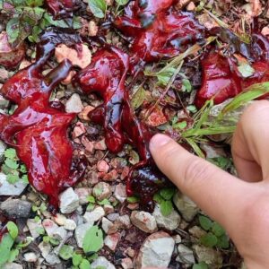 Marie Bloching Instagram - 