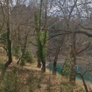 Marilena Radou Instagram - Η φύση δεν βιάζεται ποτέ, κι όμως τα πάντα γίνονται στην ώρα τους.
Λάο Τσε
Κινέζος φιλόσοφος (6ος αιώνας π.Χ.)
#friends #vacation #lake #girls #limnitsivlou #nature #trees #colours #greece
