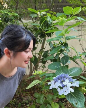 Marina Namiki Instagram - .
紫陽花が咲いてきました。
雨が多いシーズンの楽しみのひとつです。

#紫陽花
#hydrangea