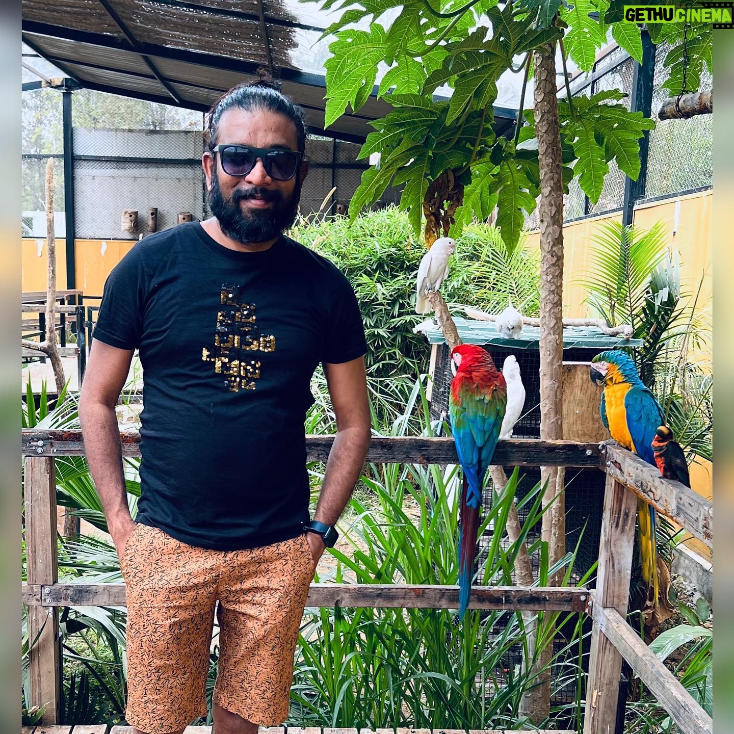 Maris Vijay - 11.7K Likes - “A bird does not sing because it has an answer, it sings because it has a song.”#birds #birdsofinstagram #pareto @marisvijayofficial @trinity_waves_studio @mmuzikofficial #birdsphotography #birdsonearth #birdsofindia