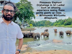 Maris Vijay Instagram - Pinnawala Elephant Orphanage in Sri Lanka! Such an amazing experience seeing these gentle giants up close. 🐘✨ #Pinnawala #SriLanka #Elephants @marisvijayofficial  @mmuzikofficial