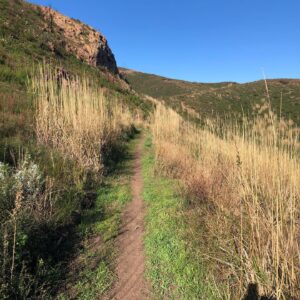 Marley Shelton Instagram - Hello and Happy New Year!  New Year’s resolution number 1 - start posting again 🤪! And no better way to kick it off than with pics from a trip to my favorite hiking/ wellness camp @TheRanchMalibu.  So many stunning vistas to take in while on the trails. It was the perfect way to sweat out the holidays and gear up for 2020!