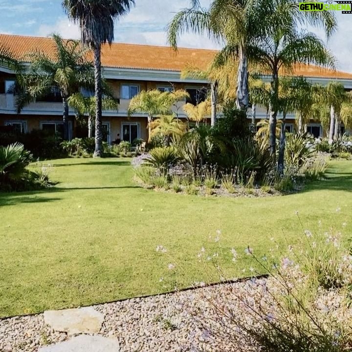 Marta Leite de Castro - 340 Likes - Que dias incríveis no @wyndhamgrandalgarve ❤️ em família ❤️ que bem recebidos, que bem instalados e que bem tratados! Parabéns à sua equipa @chococastro 🌷