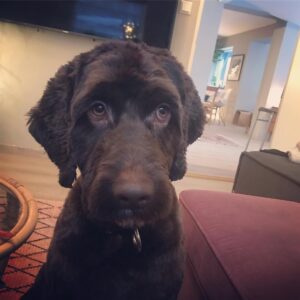 Marte Stokstad Instagram - Lett å føle på skammen etter en dyr runde hos frisøren ❤️