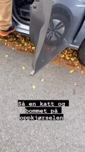 Marte Stokstad Top 100 Instagram Photos and Posts