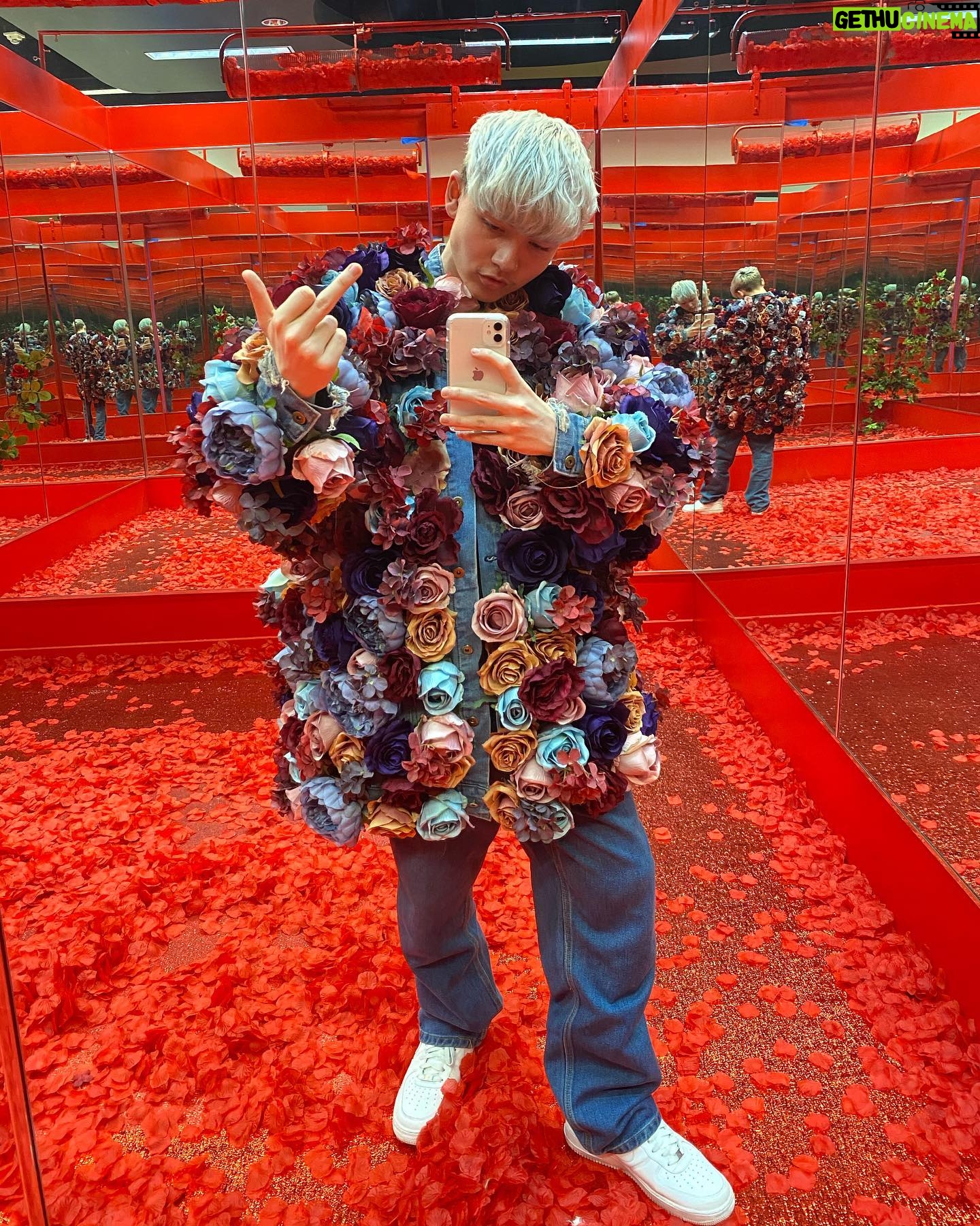 Marteen - 9.6K Likes - don’t forget to stop and smell the roses 🥀🥀🥀