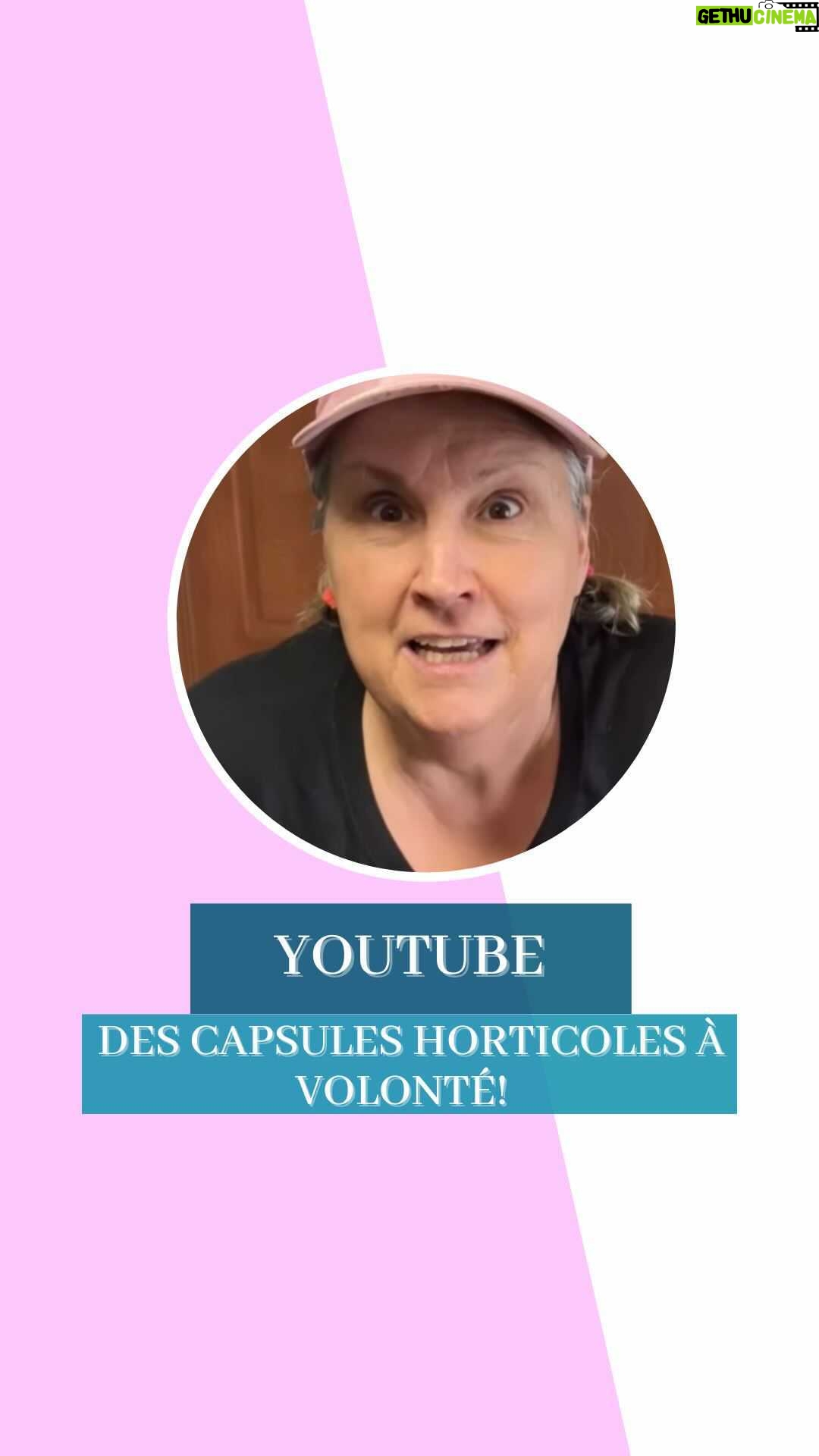 Marthe Laverdière - 357 Likes - Suivez-vous les serres Li-Ma sur Youtube?🤔 Il y a une panoplie de capsules horticoles sur plein de sujets différents pour répondre à toute vos questions! Marthe se fait un plaisir de vous faire une nouvelle capsule à chaque semaine.🪴 Allez y jeter un coup d’œil!😄
#cultivetonbonheur
•
•
•
•
#marthelaverdiere #horticulture #marthelaverdière #jardin