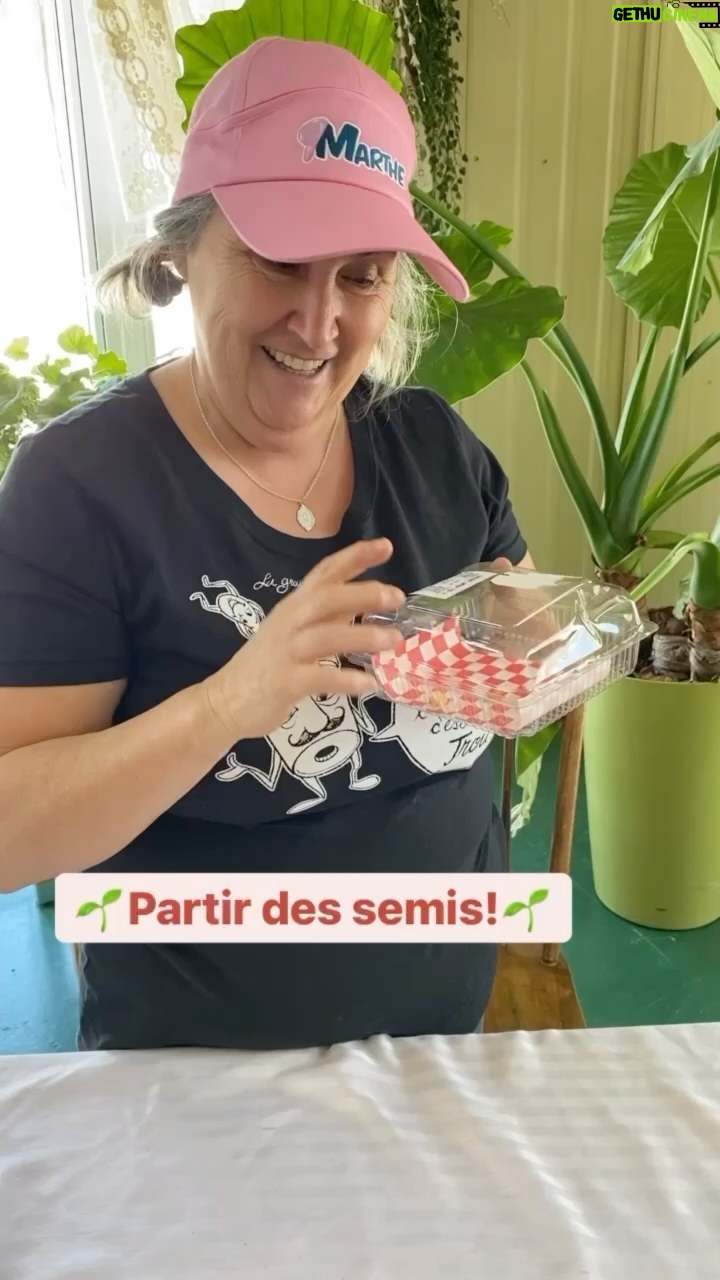 Marthe Laverdière - 514 Likes - C’est le temps des semis!☀️
Enfin!!!😍
Je vous montre ici comment ça n’a pas besoin d’être compliqué!🤗
J’ai fais des semis de Calendula dans un contenant de plastique recyclé. Ça m’a pris environ 5 minutes et ça ne m’a rien coûté!🤩 (Bien sûr j’avais conservé mes graines de Calendula de l’année passée.)
✨Pas plus compliqué que ça!✨
Et vous, quelles semences avez-vous semées pour commencer ce beau printemps?🥰
•
•
•
•
•
#marthelaverdiere #horticulture #horticulturelife #horticultrice #semis #printemps2021 #printemps #semences #calendula #bonheur #bonheursimple