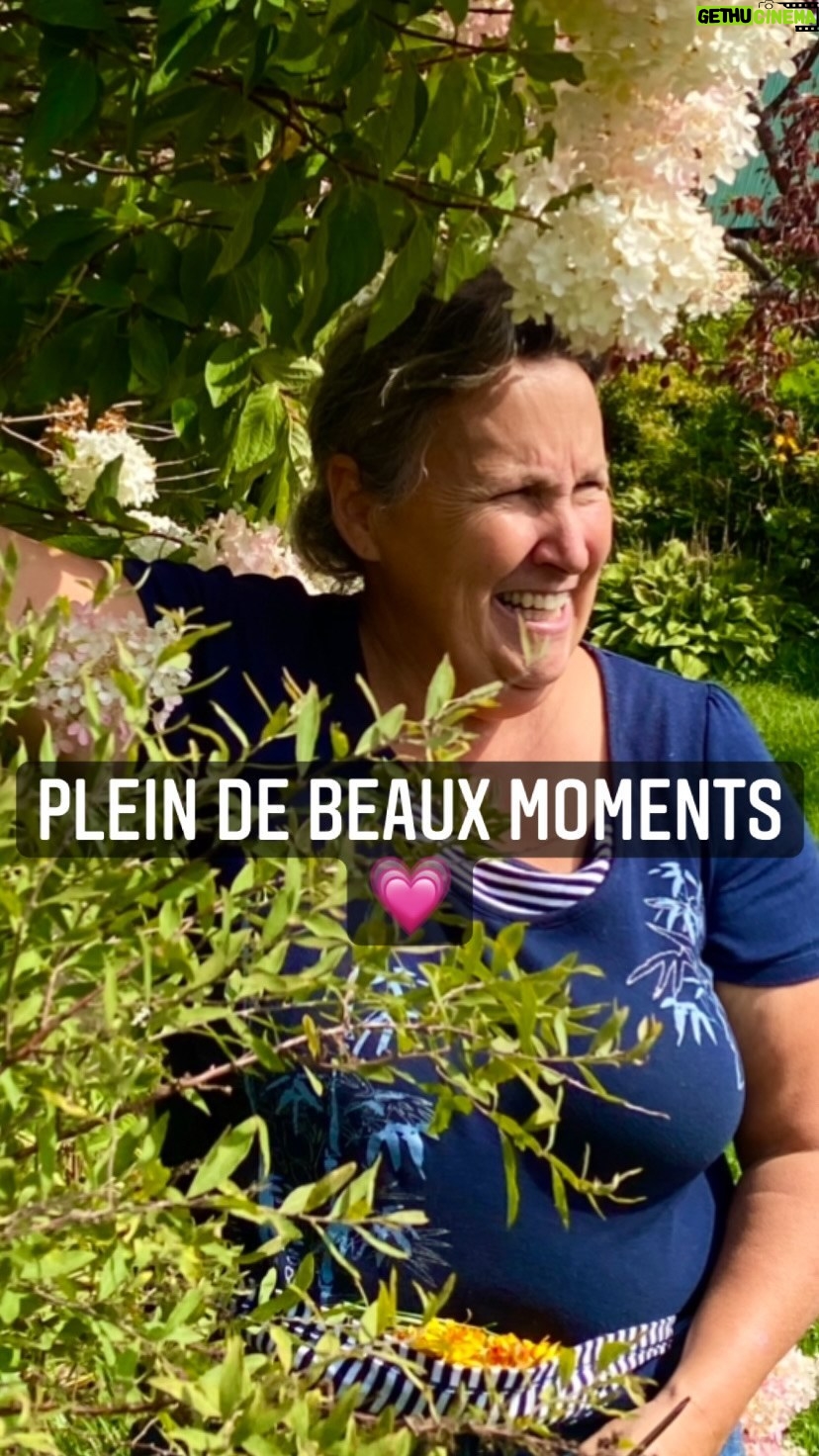 Marthe Laverdière - 423 Likes - Suivez-vous mes péripéties sur Youtube?☺️
Il y a des conseils horticoles, des démonstrations, des bricolages, de la fleuristerie, des anecdotes et plus!🌱 Le tout capté par ma belle équipe et aussi Minou, parfois.🥰
De plus en plus de belles choses arriveront sur ce compte, n’hésitez pas à vous abonner!✨
#cultivetonbonheur 💕
•
•
•
•
•
#marthelaverdiere #horticultrice #permaculturegardening #jardiner #conseilhorticole #conseilhorticulture #fleuristerie #youtubehorticulture