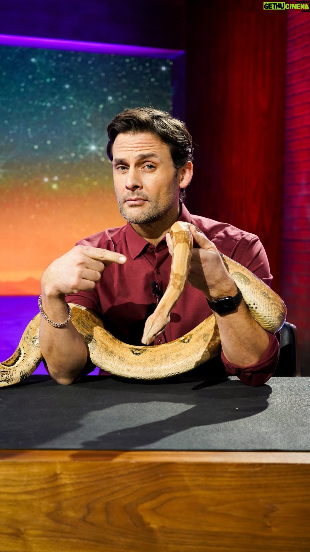 Marthe Laverdière - 351 Likes - Auriez-vous été à l’aise aussi rapidement que @marthe_laverdiere? 🐍
📲 (Re)voyez son passage à l’émission dès maintenant sur ICI Tou.tv
_
LES POILUS 🐾 Dimanche 19 h 30 sur @icirctele