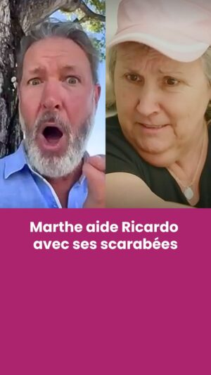 Marthe Laverdière Instagram - @ricardocuisine joue le tout pour le tout! 🪲

#icitele #radiocanada #marthelaverdiere #marthe #scarabee #poucevert #plante #nature #ricardo