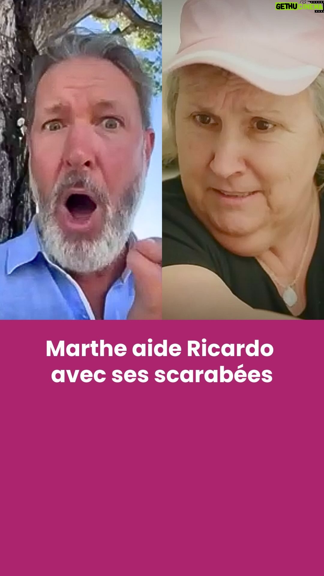 Marthe Laverdière - 806 Likes - @ricardocuisine joue le tout pour le tout! 🪲
#icitele #radiocanada #marthelaverdiere #marthe #scarabee #poucevert #plante #nature #ricardo