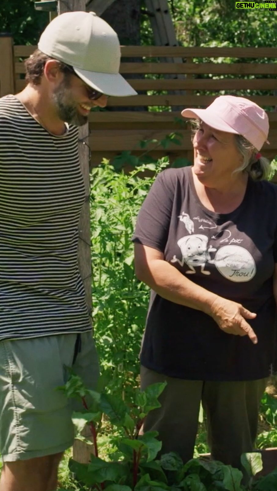 Marthe Laverdière - 1.3K Likes - 🥦🥕 Les conseils de @marthe_laverdiere pour votre potager. Capsule complète sur la page Facebook et le site de @bonsoirbonsoirrc
#bonsoirbonsoir @jpwauthier #marthelaverdiere