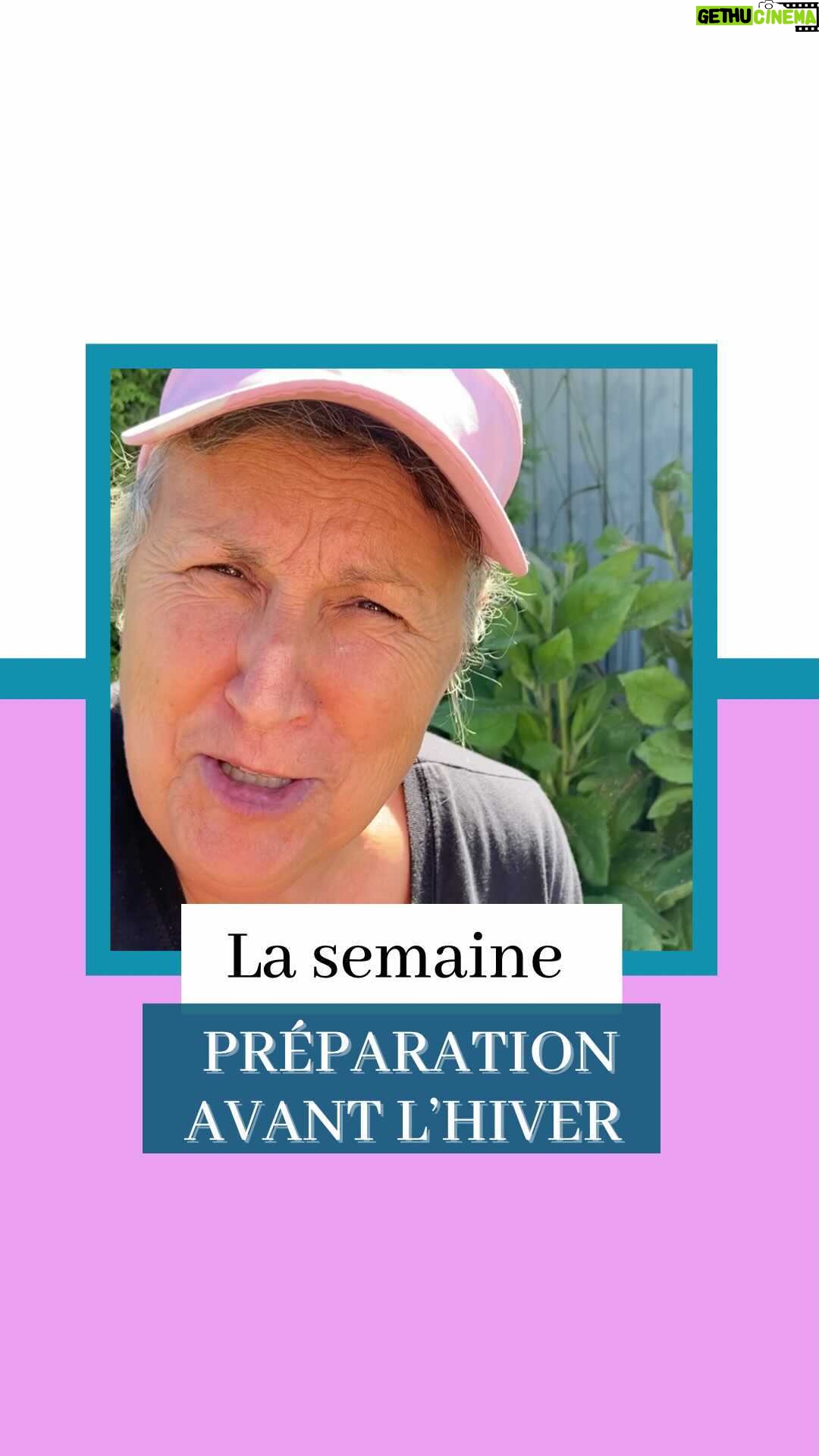 Marthe Laverdière - 471 Likes - Avez-vous vu passer mon calendrier de la semaine Spécial préparation avant l’hiver?🤔
On vous a fait une liste de lecture Youtube qui pourra vous accompagner pendant que vous préparez votre jardin pour l’année prochaine.🥰
Il y a plusieurs astuces qui je crois pourront vous aider!
Rendez-vous sur le Youtube des Serres Lu-Ma pour suivre la liste de lecture!
#cultivetonbonheur 💕
•
•
•
•
#marthelaverdiere #marthelaverdière #horticultrice #horticulturequebec #horticulture #horticulturequestion #jardin #jardinecologique #jardinageécologique #recoltegraines #recoltelegumes #recoltetomate