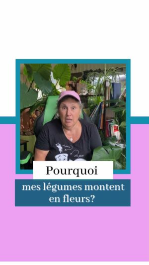 Marthe Laverdière Instagram - Je reçois beaucoup de questions de gens qui me demandent pourquoi leurs légumes montent tout de suite en fleurs et font des graines, sans qu’ils aient eu le temps de récolter quoi que ce soit.🥦 Malheureusement, en ce moment, c’est normal! Je vous explique ici pourquoi.☺️
#cultivetonbonheur 💗

•

•

•

•

#marthelaverdiere #marthelaverdière #horticulture #légumes