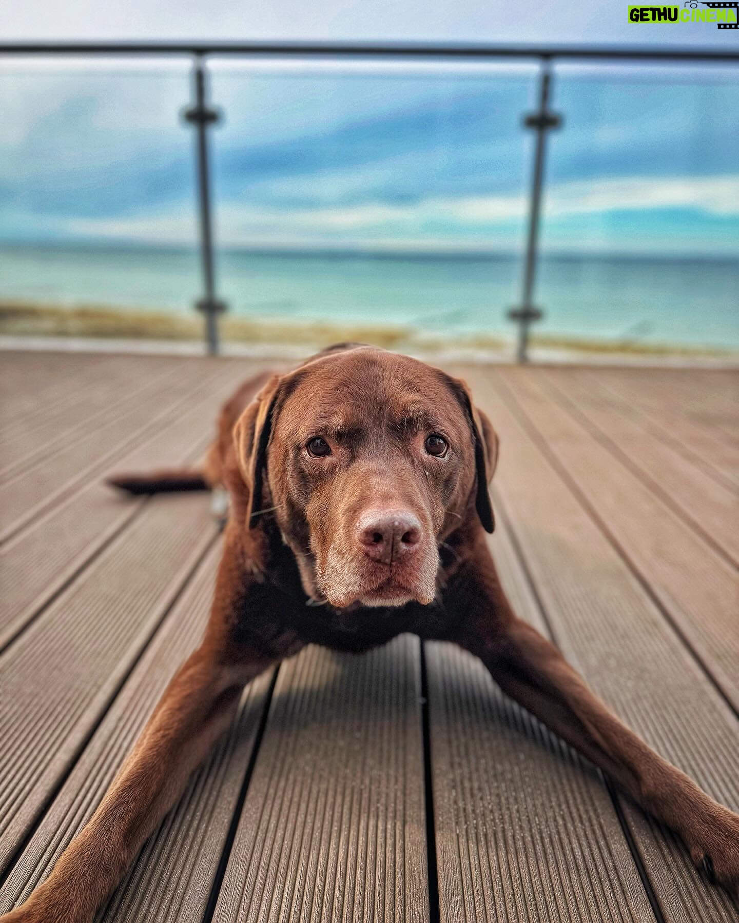 Martin Rudloff - 29.1K Likes - Just for all Maya Fans 🫶🏻‼️#seelenhund