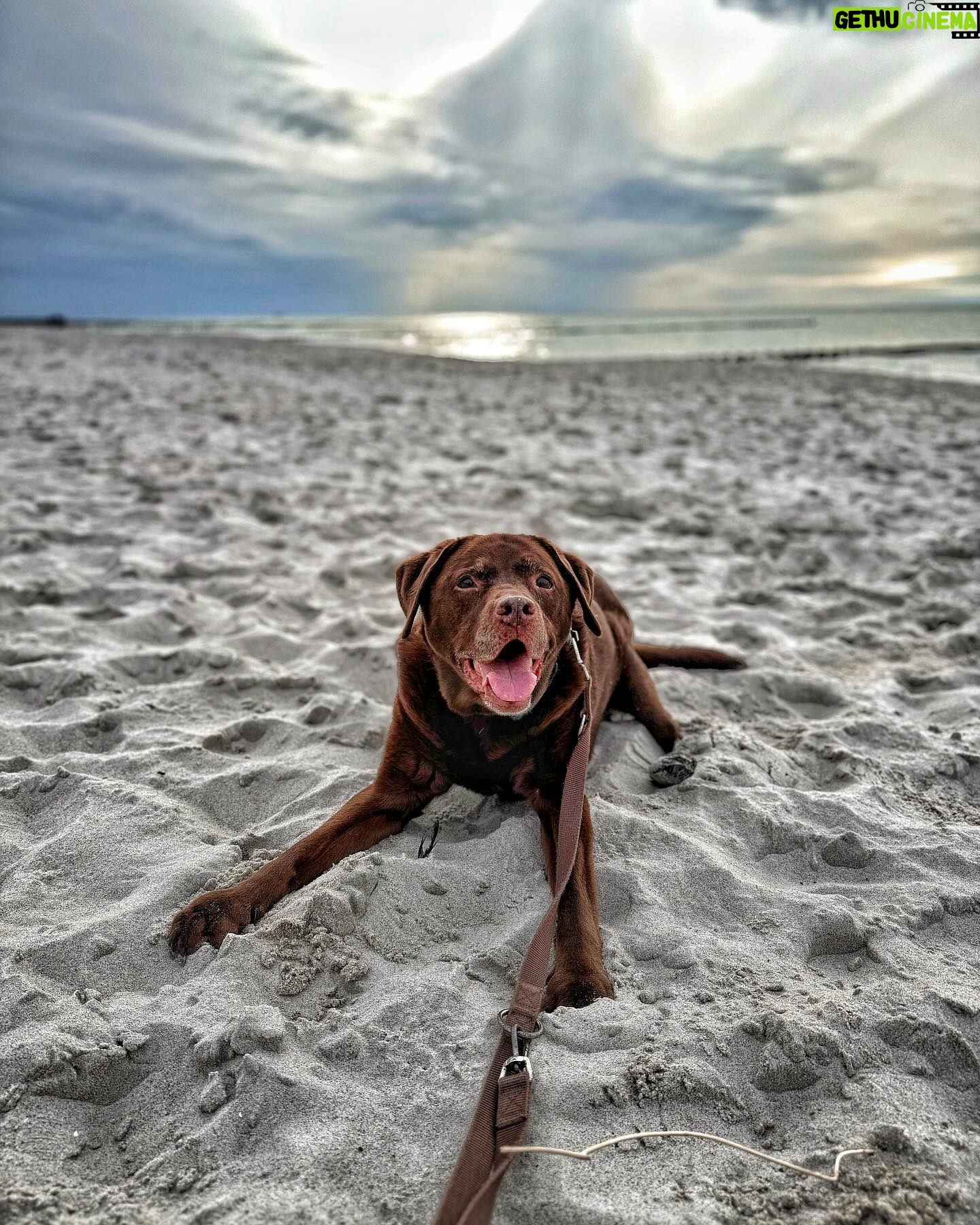 Martin Rudloff - 29.1K Likes - Just for all Maya Fans 🫶🏻‼️#seelenhund