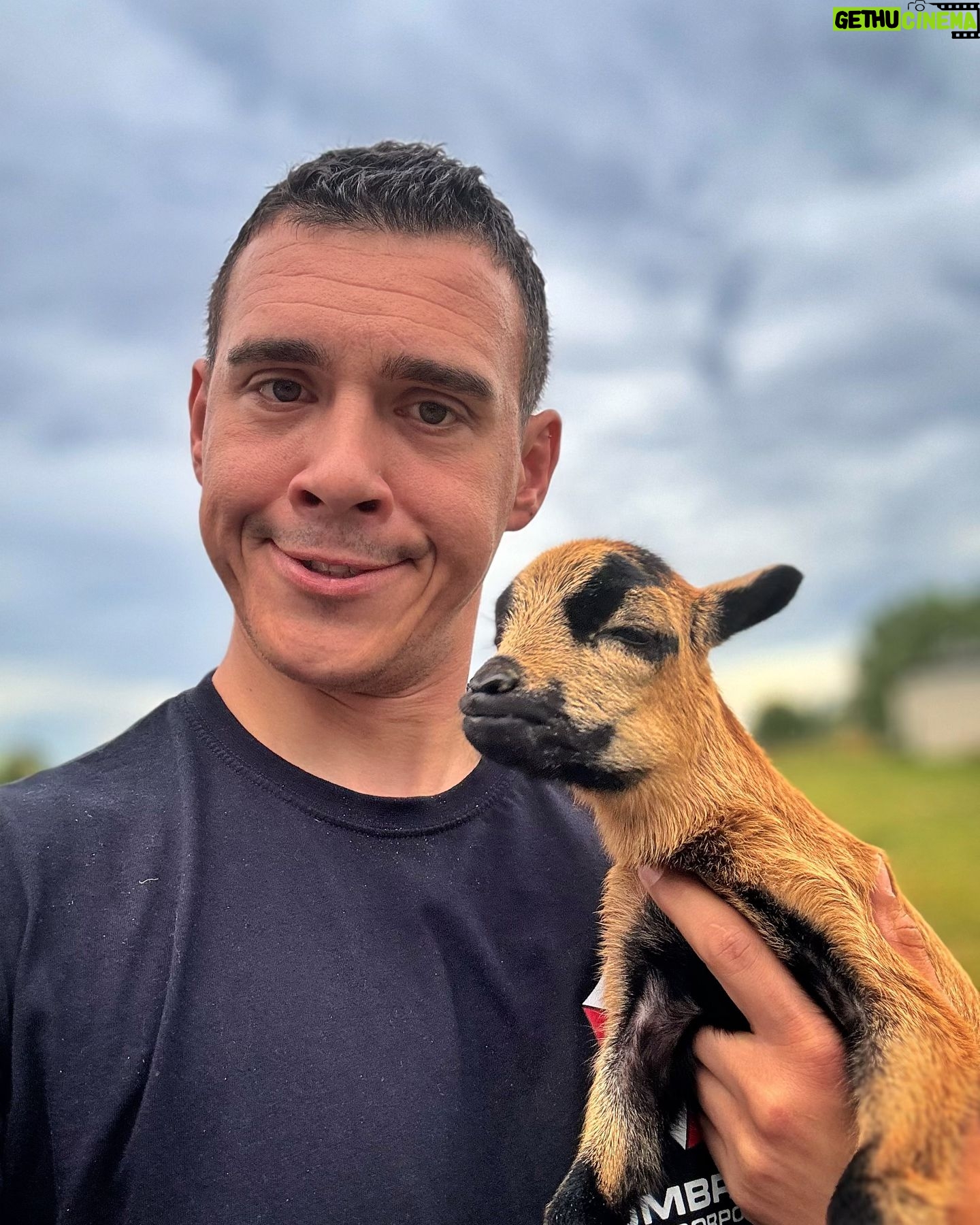 Martin Rudloff - 25.4K Likes - Das ist Mähndy ein kleines Kameruner Schaf (keine Ziege) sie ist jetzt meine Freundin und untersteht meinen persönlichen Schutz. 💛