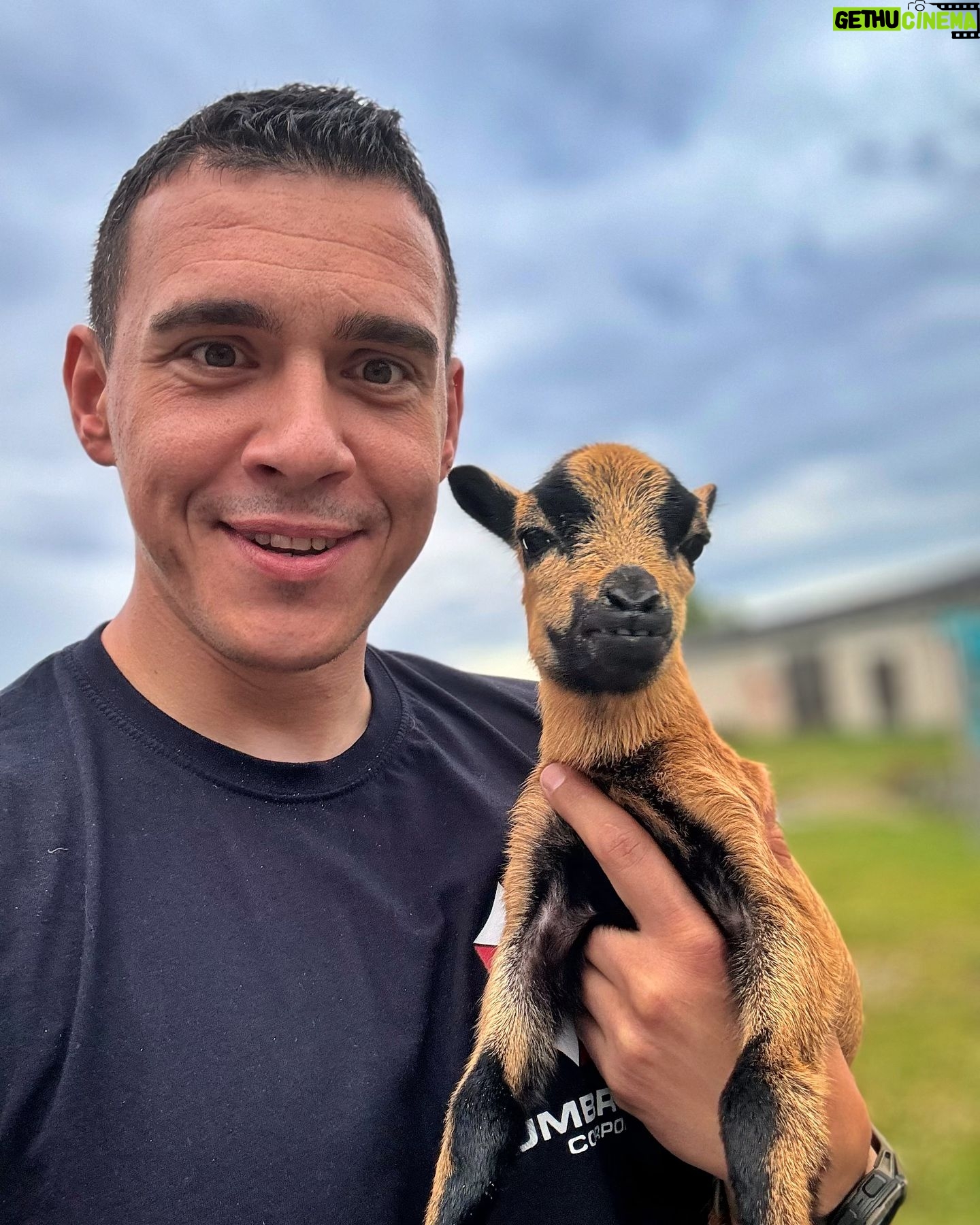 Martin Rudloff - 25.4K Likes - Das ist Mähndy ein kleines Kameruner Schaf (keine Ziege) sie ist jetzt meine Freundin und untersteht meinen persönlichen Schutz. 💛
