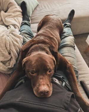 Martin Rudloff Instagram - Seelenfrieden 🐾🔋