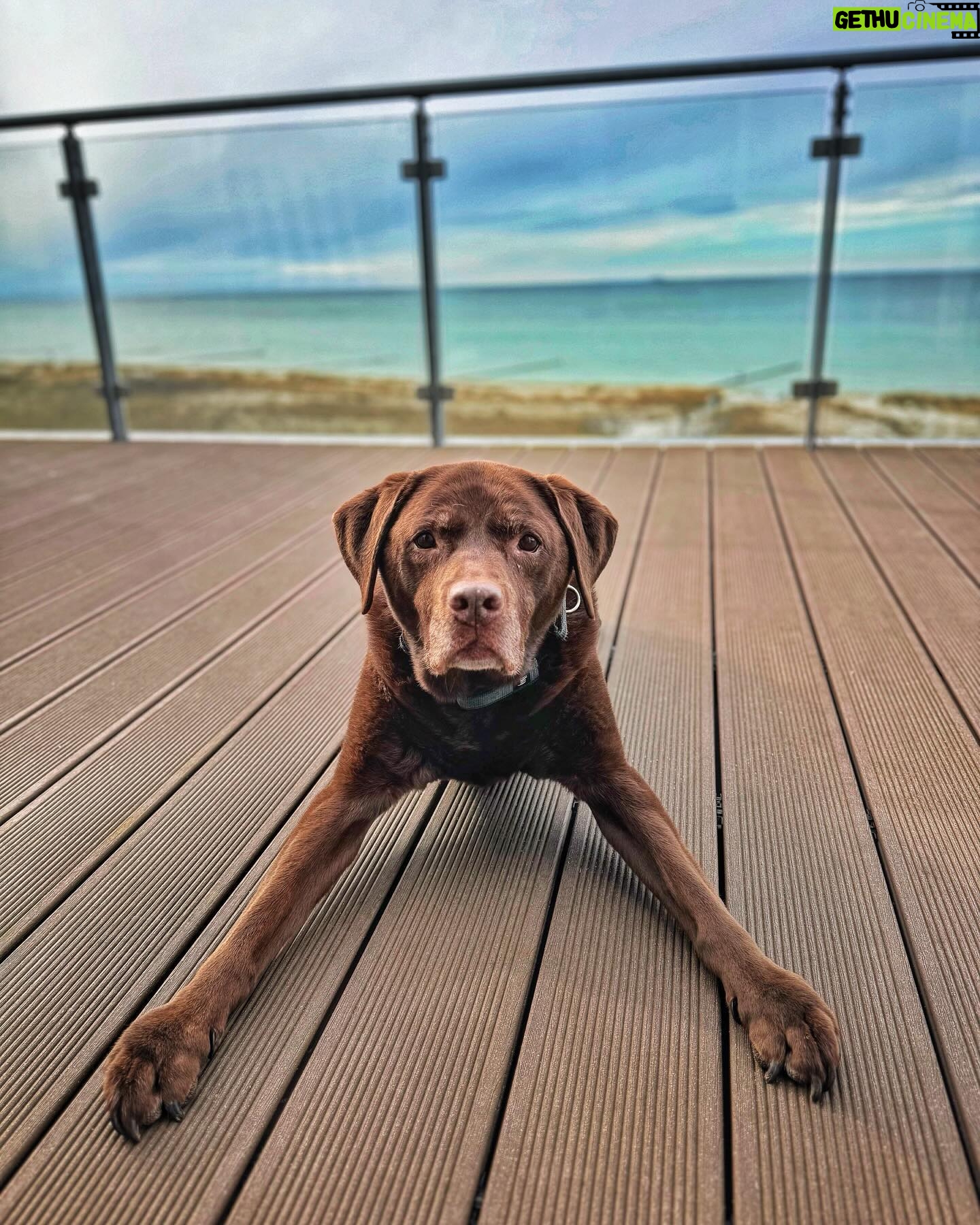 Martin Rudloff - 29.1K Likes - Just for all Maya Fans 🫶🏻‼️#seelenhund
