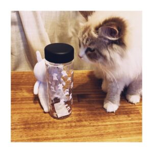 Mary Instagram - 🌳﻿
﻿
春のお出かけに﻿
ぴったりなめあうさクリアボトル🐰﻿
﻿
4/28超ボーマスたのしみ﻿
やせたい﻿
﻿
#ラテちゃまも興味津々 ﻿
#安定のめあうさ﻿