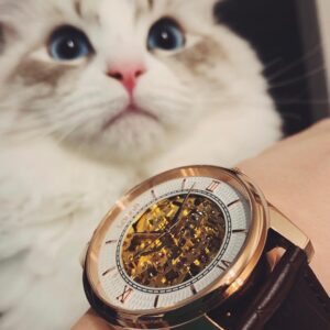 Mary Instagram - lobor様より素敵な時計をプレゼントしていただきました✨﻿
﻿
とっても可愛くて、猫様もびっくり。﻿
﻿
﻿
クーポンコード『_mary28_』 使用で﻿
10パーセントオフになるみたいです…！﻿
﻿
→http://lobor.jp﻿
﻿
#lobor#ロバー#腕時計#時計#手元倶楽部﻿
﻿
#めありー #めあうさ #meausa