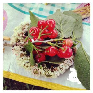 Mary Instagram - 小さい頃ぶりに
お花のかんむりをつくったよ。🌷
さくらんぼは道行くおばあちゃんがくれた。
すっぱかったです（食べた）🍒 #花のある暮らし  #さくらんぼ
