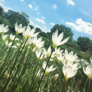 Mary Instagram - あついね