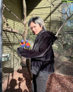 Masahiro Inoue Instagram - オペラハウスとインコ。笑