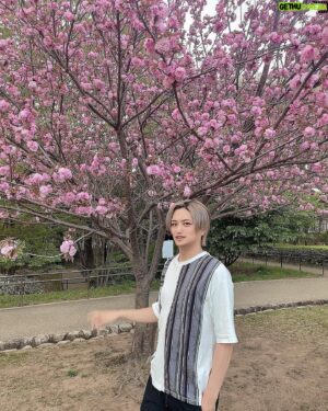 Masahiro Inoue Instagram - 最近暖かくなって気持ちがいいね！
これ桜かな？まだ咲いてたよ🌸