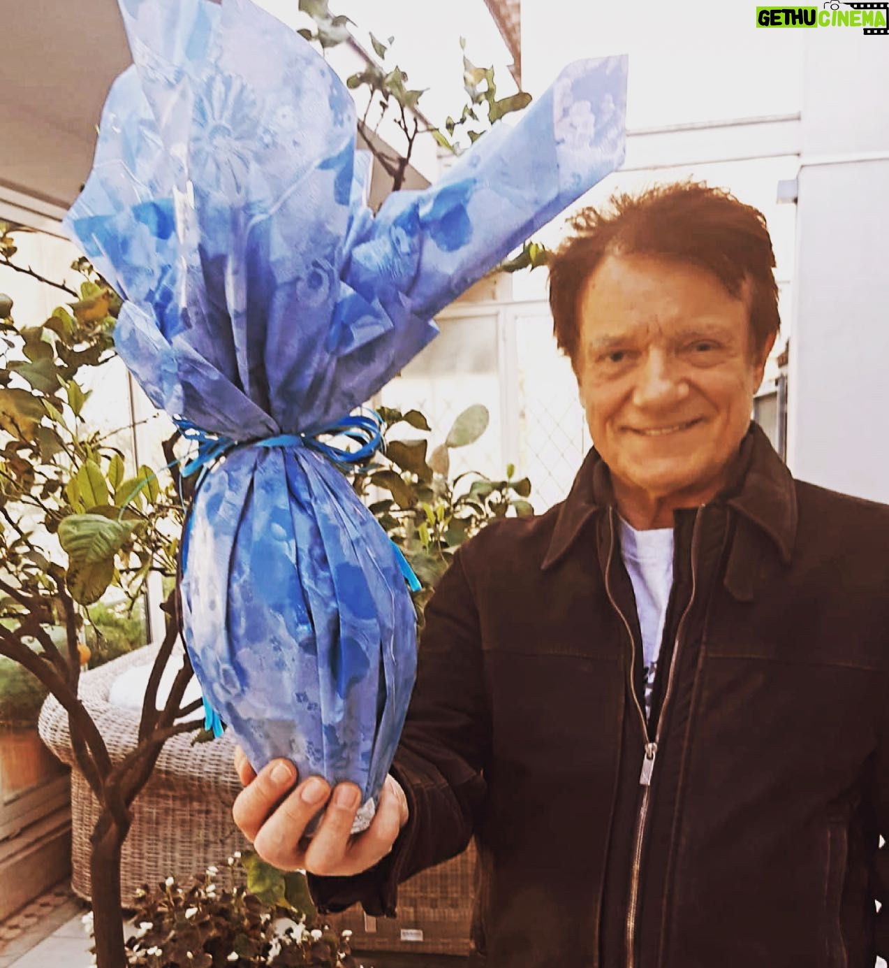 Massimo Ranieri - 6.5K Likes - Che sia una Pasqua di rinascita per tutti. Auguri #buonapasqua #rinascita #uovodipasqua #š£